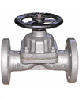 Diaphragm & Pinch Valve