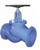 Globe Valve